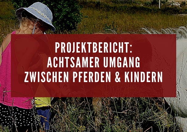 Read more about the article Projekt: achtsamer Umgang zwischen Pferden und Kindern