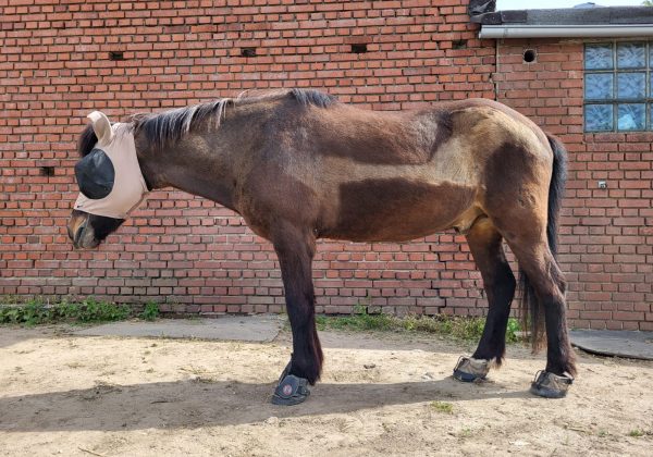 WhatsApp Image 2026-01-25 at 19.16.36